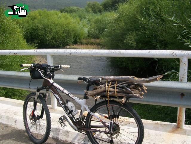 ACARREANDO LA LEA...
