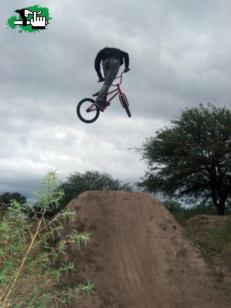 moto whip