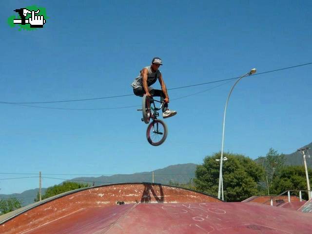 whip