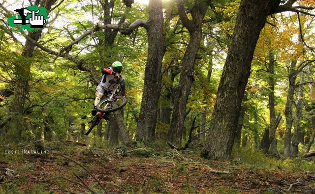 Que lindo el bosque para andar en bici.!