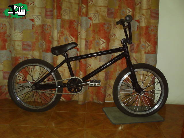 mi nueva bicha 