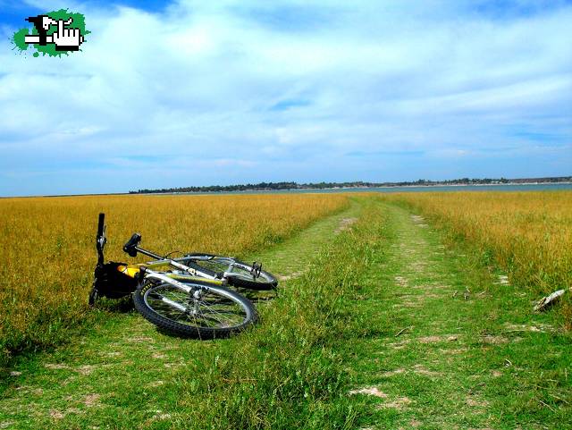 Agarrar la bici, un par de cosas, y pedalear y pedalear...