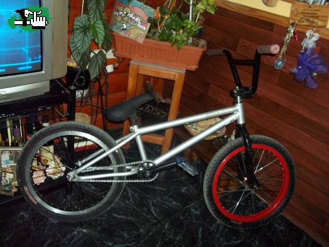 bike check!