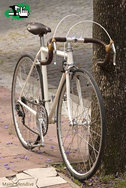 Aimless (restauración completa)