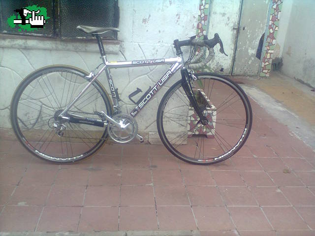 mi lindo caito el scott
