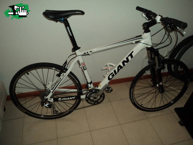 Mi nueva giant