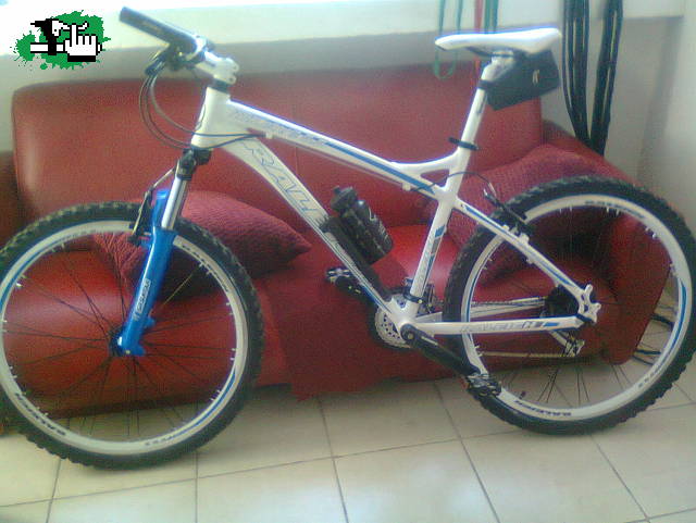 raleigh 5.5