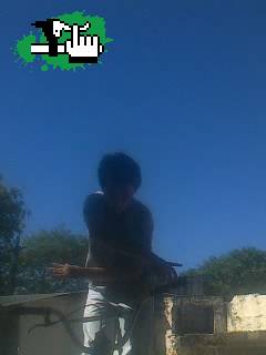 barspin ayuda