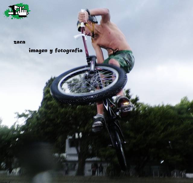 volando alto