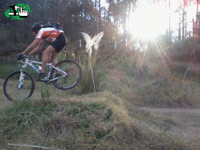 practica de salto