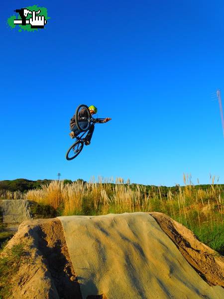 Invert