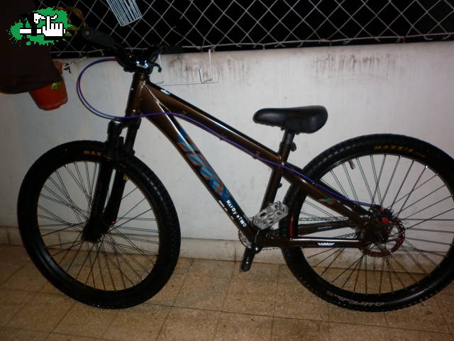 Tav087