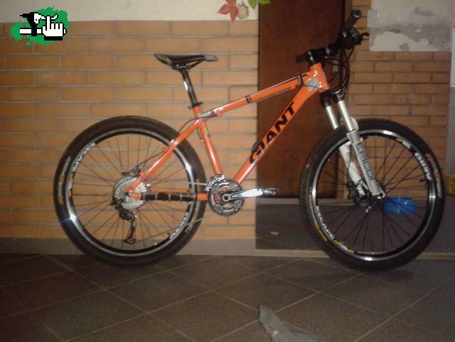 Por fin la termine...creo!