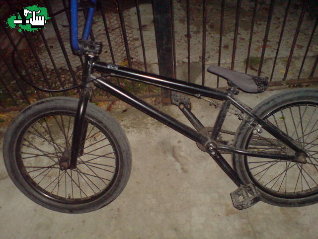wethepeople reason 2011