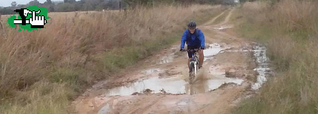¨Al agua pato¨