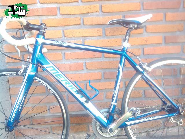 rmariotti