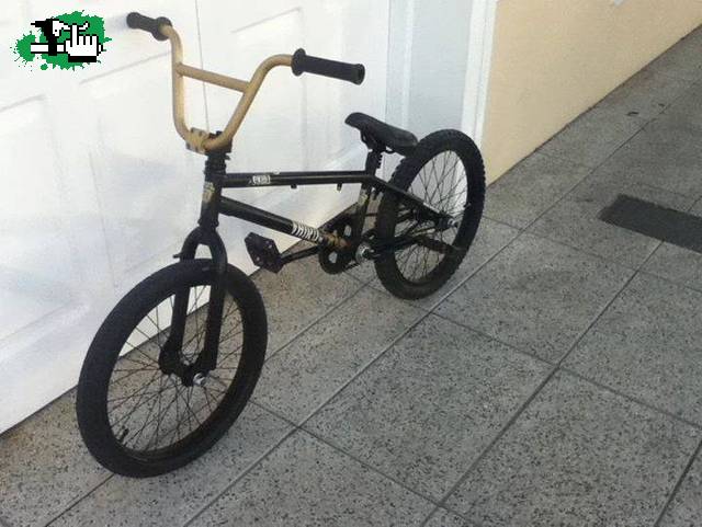 skull pro negra