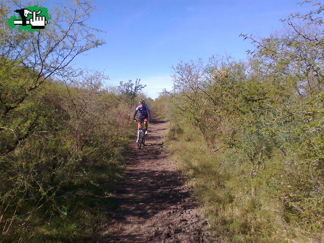 Entre montes, espinillos y aves que silvan 