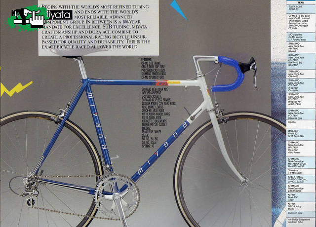 Me Robaron la bici