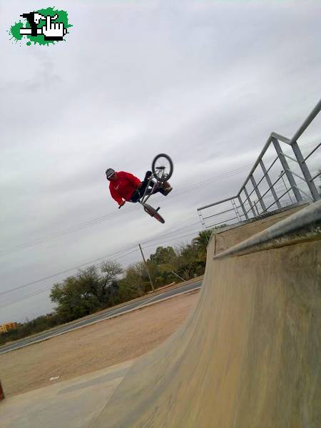 DE WHIP