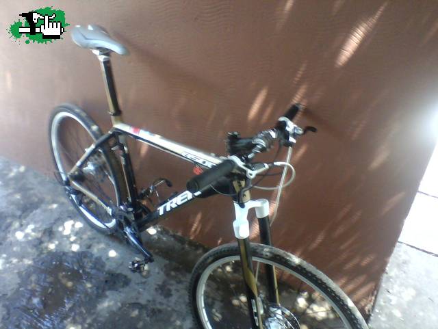 GonTorres