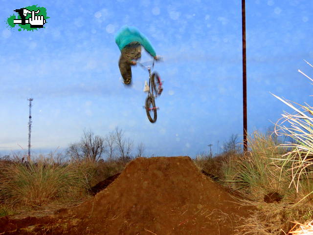 Pala dirts