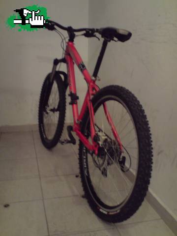 Kona robada en San Nicolas