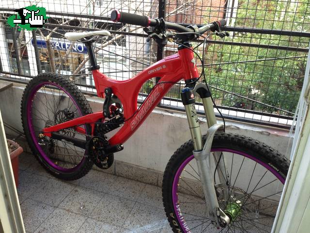 Dogui