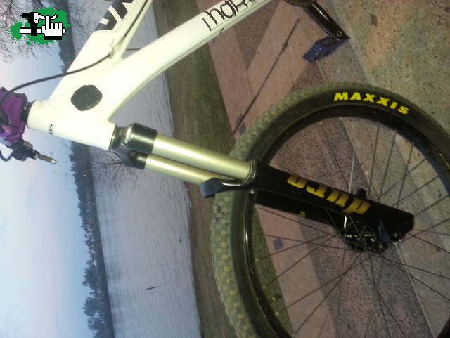 martin8888