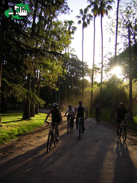 EL PATO - PARQUE P. IRAOLA - RESERVA HUDSON - EL PATO. 