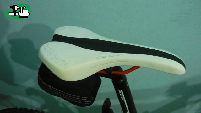 selle italia (Q-Bik)