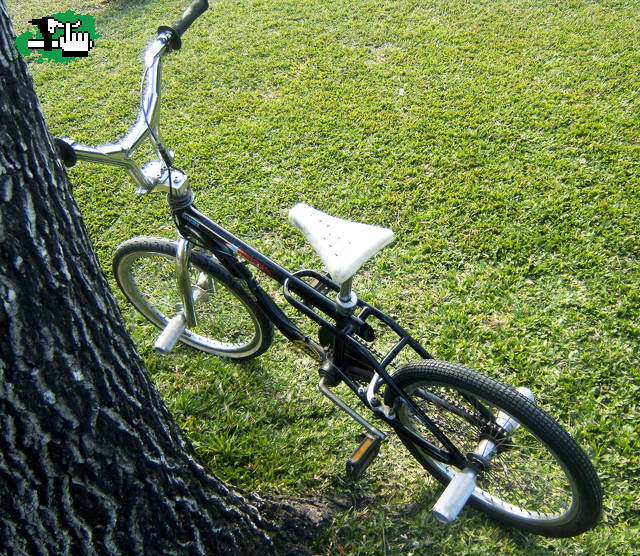 Viejos recuerdos!
