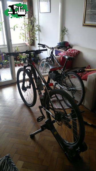 Bicis