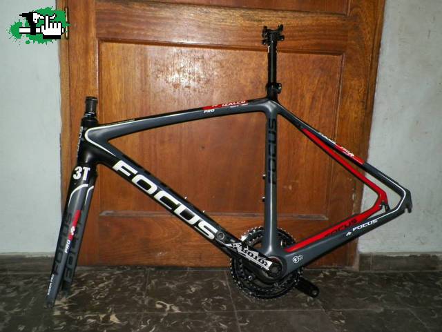 lobito12