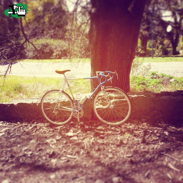 Colnago Master