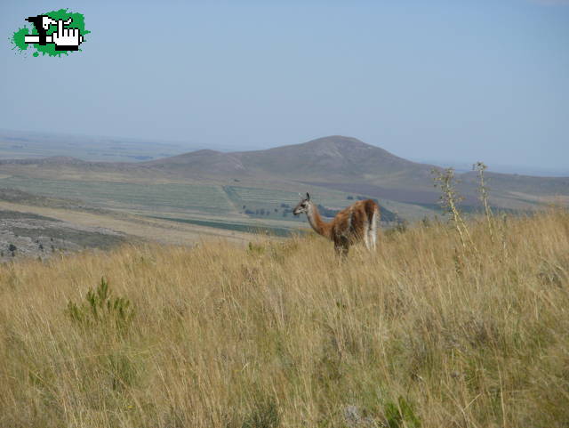 Info sobre circuitos en Sierra de la Ventana