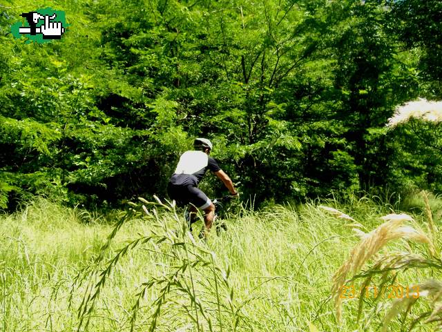 Bosque-Sendero-Rural  y XC :)