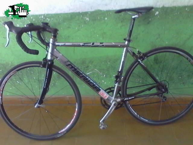 pequee2008