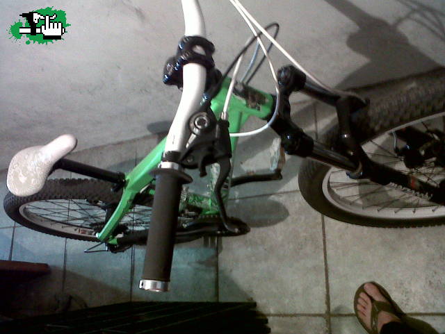 felimodel