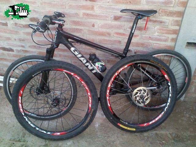 federico25