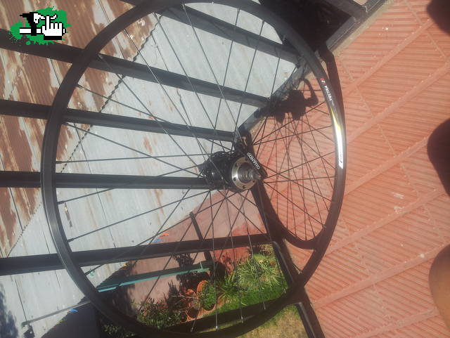 elbiker15