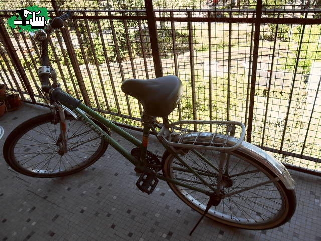 Bicipeugeot