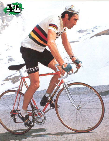 EDDY MERCKX , El caníbal