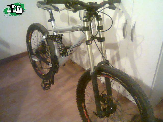 marcelocarletti2002