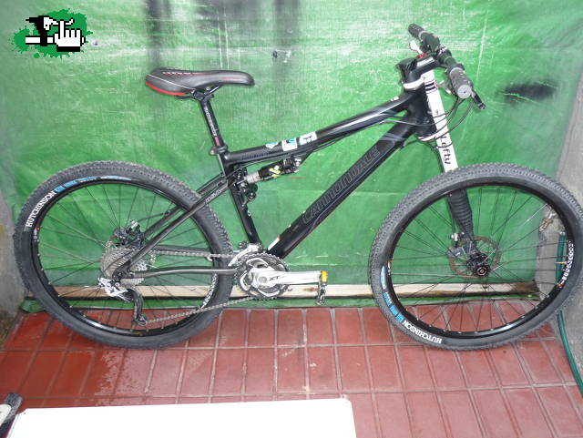 caquiyo14