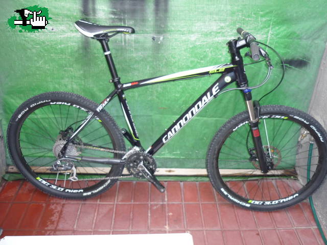 caquiyo14