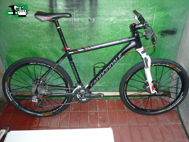 caquiyo14
