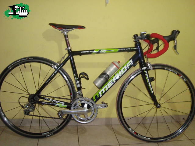 Rod55