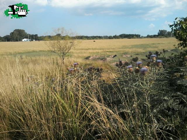 Un paseito por las vas a 35 grados!!