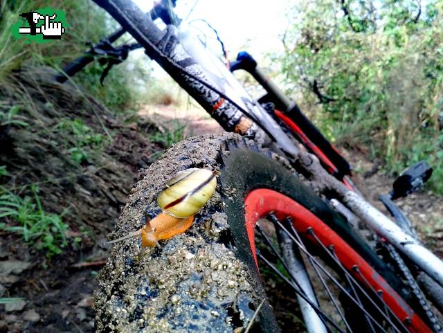 Slowing down en Punilla, Crdoba, Argentina